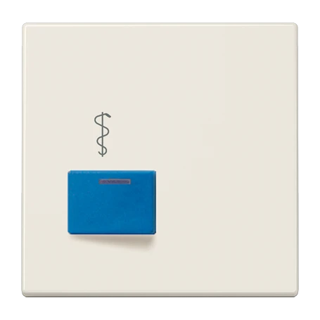 Centre plate for Ackermann, Typ 73022 A 2, ivory