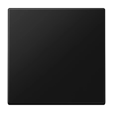 Rocker 1-gang, F10, matt graphite black