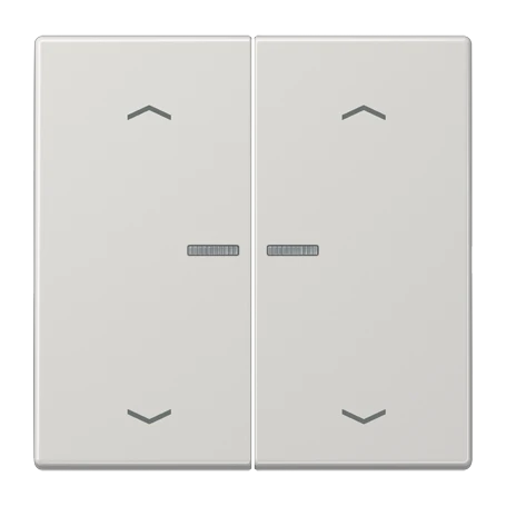 Wippe 2fach, F10, lichtgrau