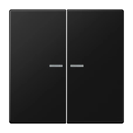 Wippe 2fach, F10, graphitschwarz matt