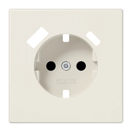 Centre plate for SCHUKO® socket insert with USB charger, Safety Plus, thermoplastic, ivory