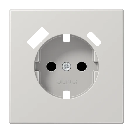 Centre plate for SCHUKO® socket insert with USB charger, Safety Plus, thermoplastic, light grey