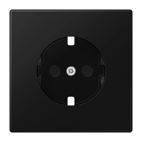 Centre plate for SCHUKO® socket inserts, Safety Plus, duroplastic lacquered, matt graphite black 