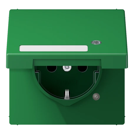 Wandcontactdoos met randaarde, Safety Plus, met functie-indicatie, met tekstvenster, thermoplast, groen