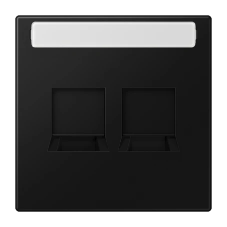 Centre plate (snap-on fixing) for modular jack sockets, 2-gang, EMT, AMP, MTRJ, matt graphite black