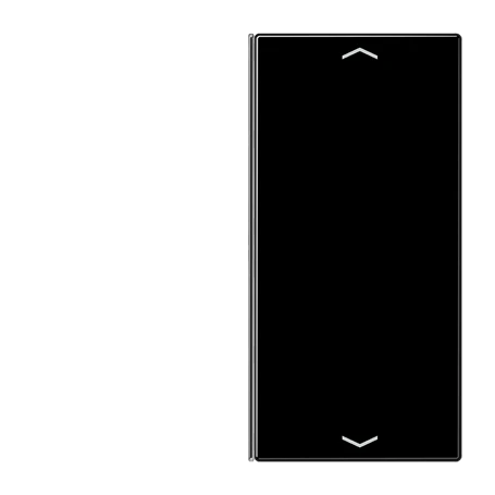 Cover 2-gang, F40, black