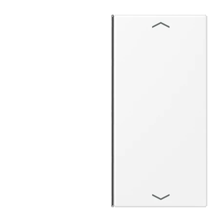 Cover 2-gang, F40, matt snow white