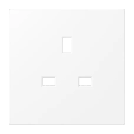 Centre plate for socket insert 521 G, thermoplastic lacquered, matt snow white