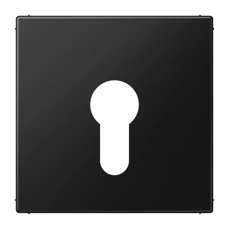 Centre plate, for key switch without protection against dismounting, matt graphite black