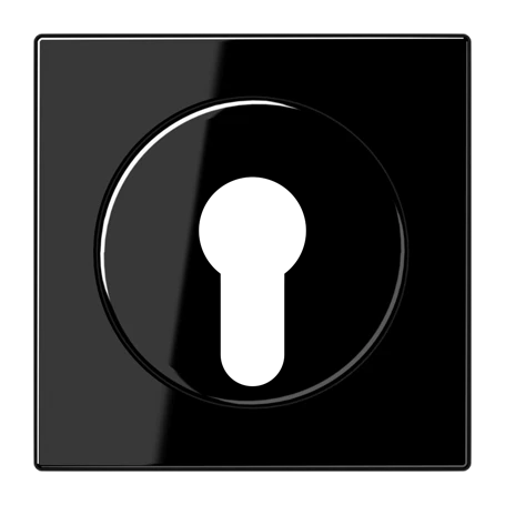 Centre plate, for key switch with protection against dismounting, black
