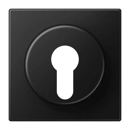 Centre plate, for key switch with protection against dismounting, matt graphite black