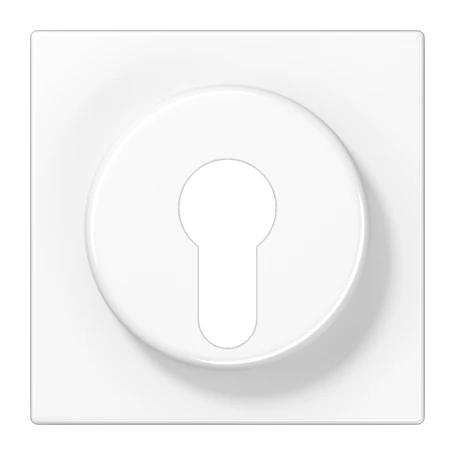 Centre plate, for key switch with protection against dismounting, white