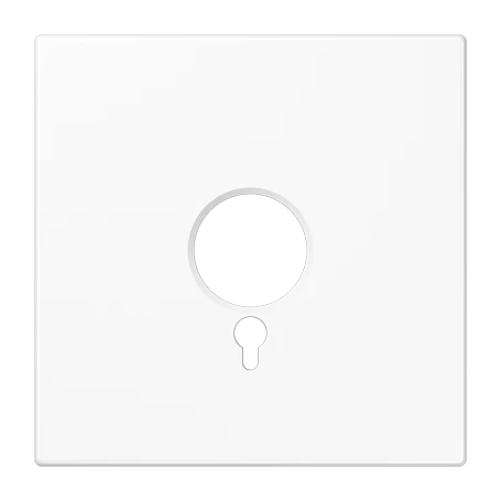 Centre plate, for panic button, white