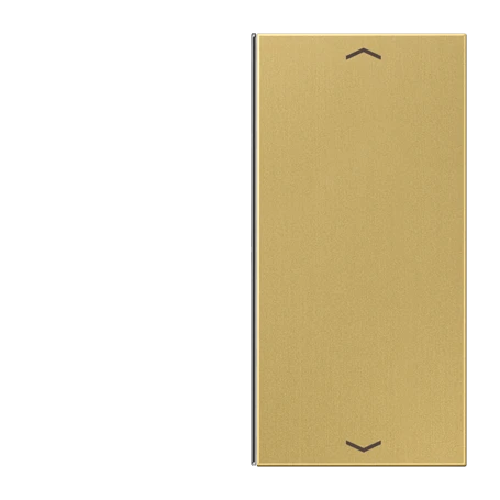 Cover 2-gang, F40, classic brass