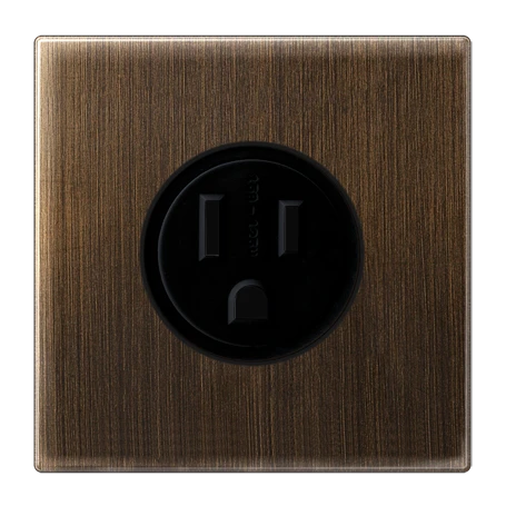 Socket, US NEMA system, screw terminals, antique brass
