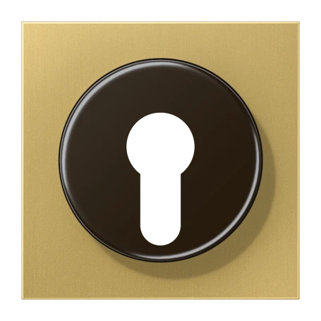 Centre plate, for key switch with protection against dismounting, classic brass