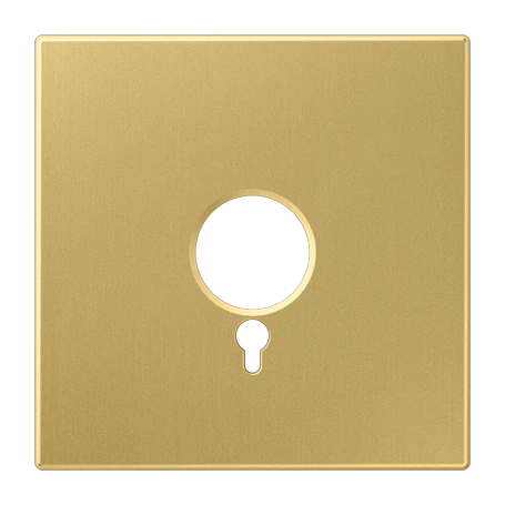 Centre plate, for panic button, classic brass