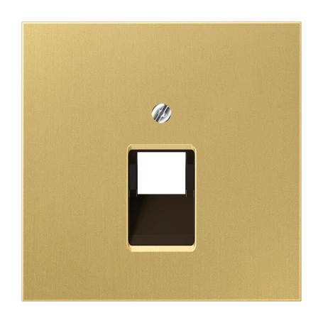 Centre plate for IAE/UAE sockets, 1 x 8-pole, classic brass