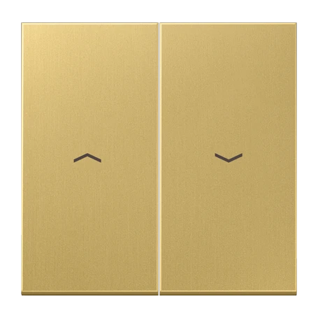 Rocker 2-gang, with arrow symbols, classic brass