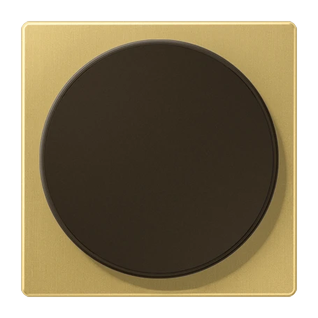 Centre plate for wireless charging, LS range, classic brass