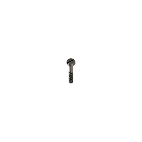 Refill bag of screws, 100 x slot 4 mm, black, for centre plates .. 569 (PL)T .., ..969 T ..