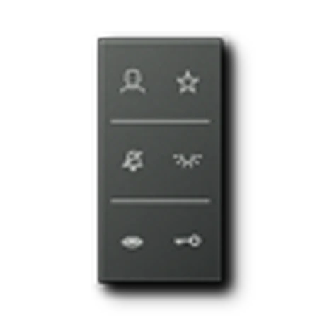 Symbol cover video 3-gang, F50, antracito sp.