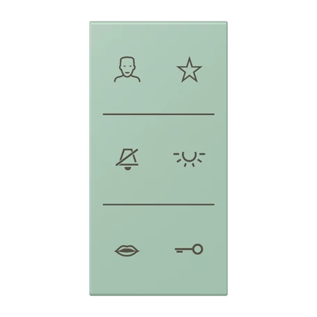 Symbol cover video 3-gang, F50, vert anglais clair (32041)