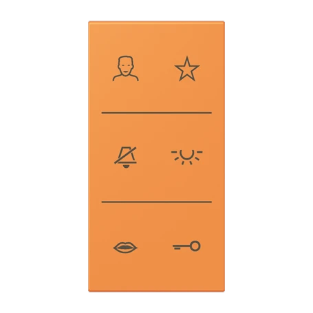 Symbol cover video 3-gang, F50, orange clair (32081)