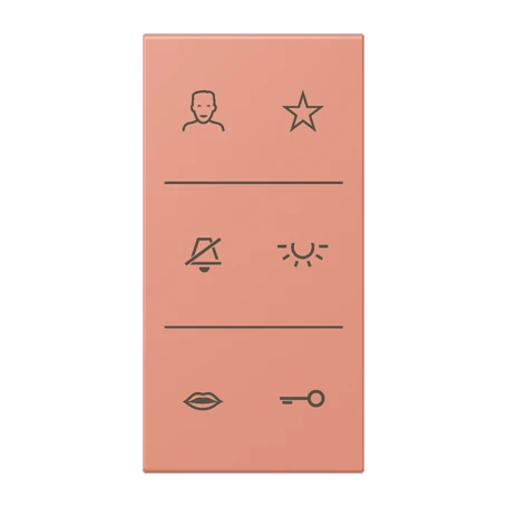 Symbol cover video 3-gang, F50, l’ocre rouge moyen (32111)