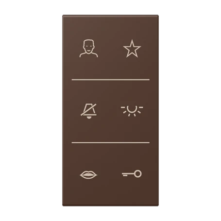 Symbol cover video 3-gang, F50, terre d’ombre brûlée 31 (32130)
