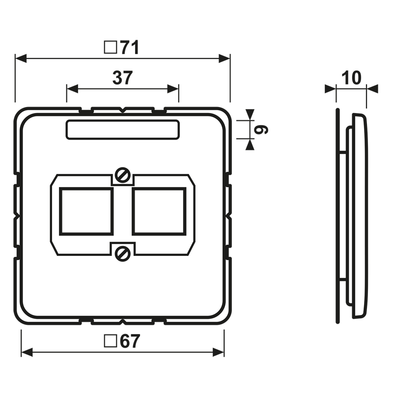 Centre plate (screw fixing) for modular jack sockets, 2-gang, Reichle ...