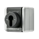 Jalousie-Schlüsselschalter, Wendetaster, 1-pol. (1 Antrieb), AX, 10 A, 250 V ~, grau