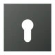 Centre plate, for key switch without protection against dismounting, anthracite