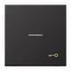 Schakelwip 1-voudig, Symbool "sleutel", met lens, Dark