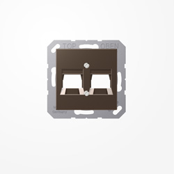 Centre plate (screw fixing) for modular jack sockets, 2-gang, ivory | A ...